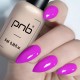 Гел лак PNB 8 мл 115